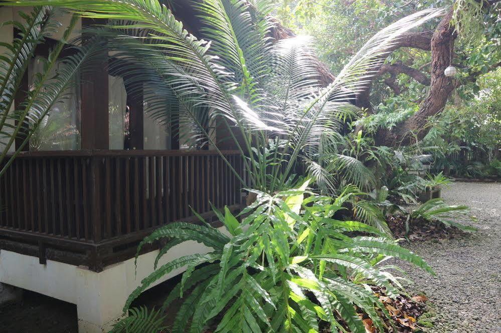 Blue Bayou Bungalows Balabag  Exteriér fotografie